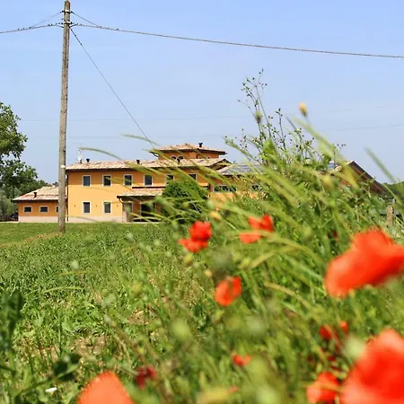 Farm stay Bacchanalis