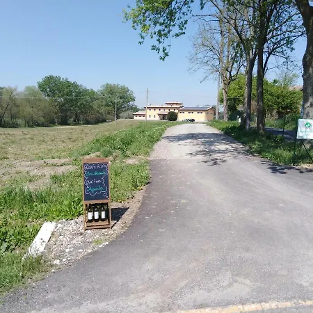 Bacchanalis Ziano Piacentino