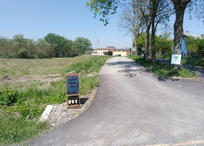 Bacchanalis Ziano Piacentino