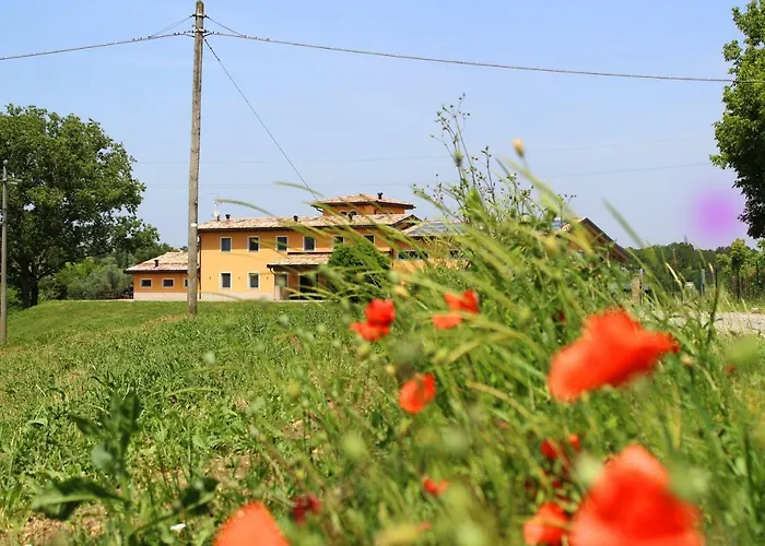 Alloggio per agriturismo Bacchanalis